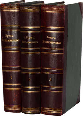 Брэм А. Жизнь животных Брэма. В 3 т. Т. 1-3. СПб.: Книгоиздательство Товарищества «Просвещение», 1901-1904.